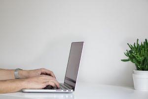 Laptop with plant