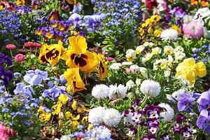 Gardening