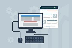RSE Remote Consultation