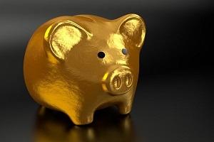 Covid fund